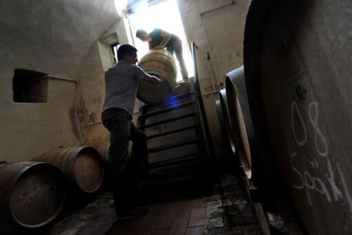 Grosskarlbach, Weingut Dietrich: Arnd und Gerrit Dietrich