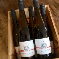 Asia de Cuba – Riesling von Hiestand