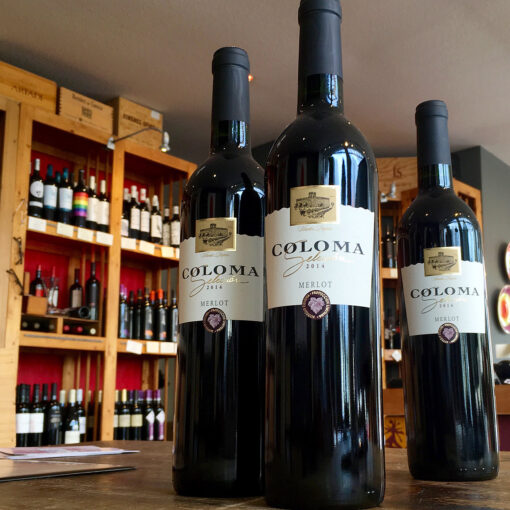 Coloma Selección Merlot