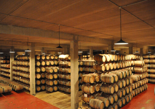 Bodega Cosecheros y Criadores