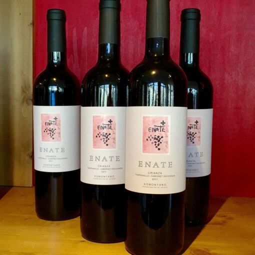 Enate Crianza