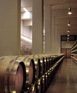 Finca Antigua Fasskeller