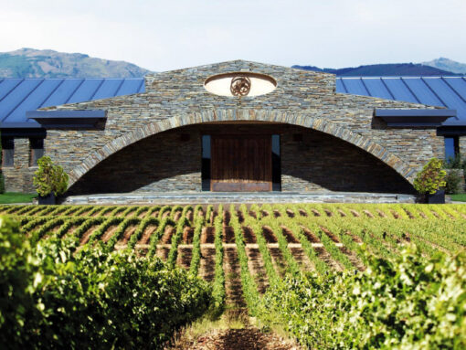 Weinkellerei der Finca Rio Negro, Guadelajara