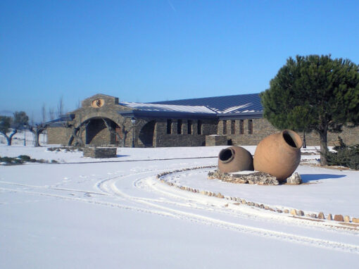Finca Rio Negro im Schnee