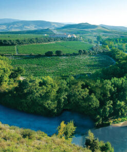 Das Einzellagen-Weingut Finca Valpiedra an der Ebro-Schleife