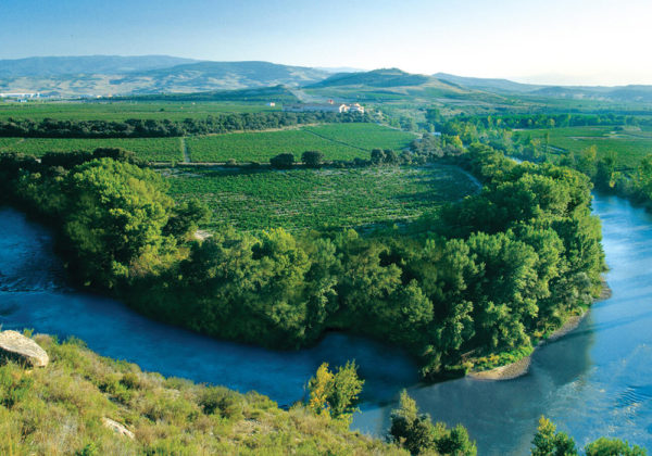 Das Einzellagen-Weingut Finca Valpiedra an der Ebro-Schleife