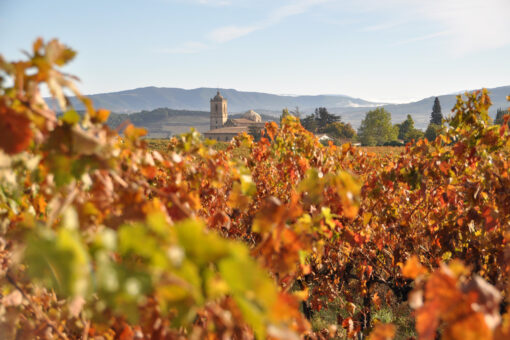 egiarte Crianza 2020 – Bild 2