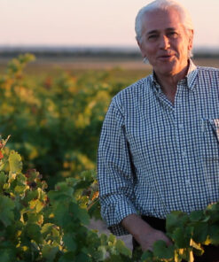 Bodega Rejadorada – Luis Remesal
