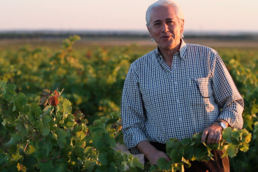 Bodega Rejadorada – Luis Remesal