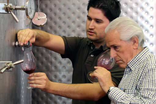 Mario + Luis Remesal von der Bodega Rejadorada in Toro