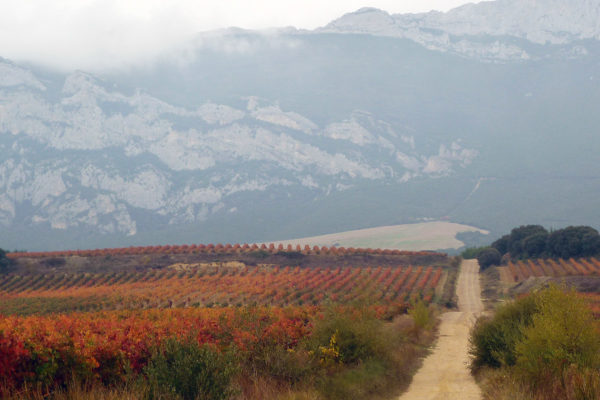 Rioja im Herbst