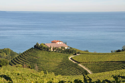 Txakoli-Weingut Txomin-Etzaniz in Getaria